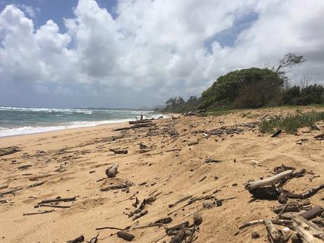 one long weekend in kauai