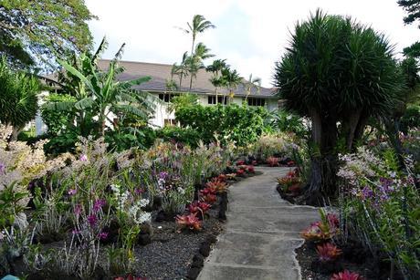 one long weekend in kauai