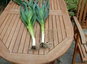 Leeks