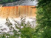 Benefits Forest-Bathing
