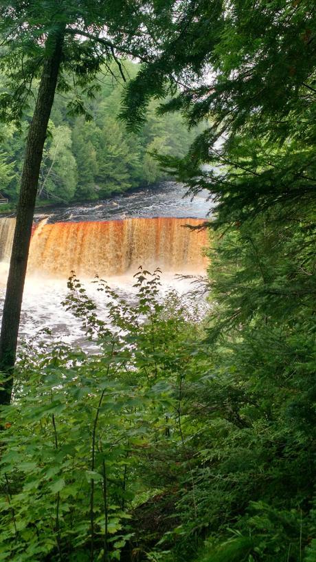 The Benefits of Forest-Bathing The Benefits of Forest-Bathing