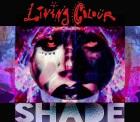 Living Colour: Stream Program