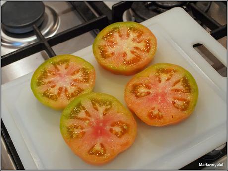 Harvesting tomatoes