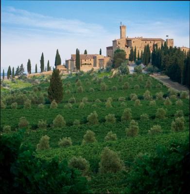 Event Preview: Banfi wine tasting and lunch