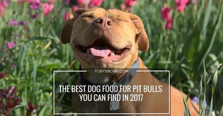 The Best Dog Food For Pit Bulls You Can Find In 2017 – Shopping Guide