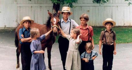 An Amish Summer:  Four Novellas by Shelley Shepard Gray, Amy Clipston, Kathleen Fuller, and Kelly Irvin