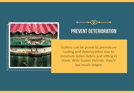 Gutter Protection: Why Your Home Needs It