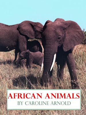 AFRICAN ANIMALS is Now a Kindle Book