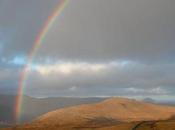 Sign Rainbow