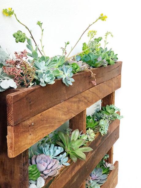 Crate Paper Design Team : Succulent & Cactus Frame