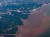 Madagascar’s Wetlands Brink Destruction, Says First Ever Survey