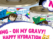 Gravy! Weruva OMG! "People Food Cats" Plus, Does Your Have Concerns?