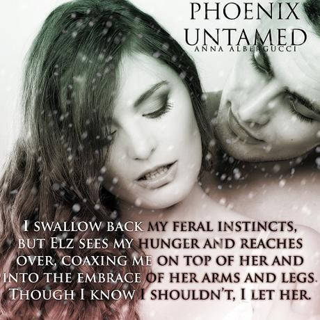 The Phoenix Decree Saga by Anna Albergucci @SDSXXTours