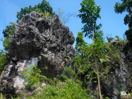 Rock Outcroppings in Mt. Makatol