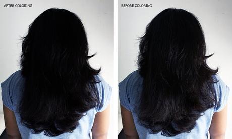 BBLUNT Salon Secret High Shine Creme Hair Color