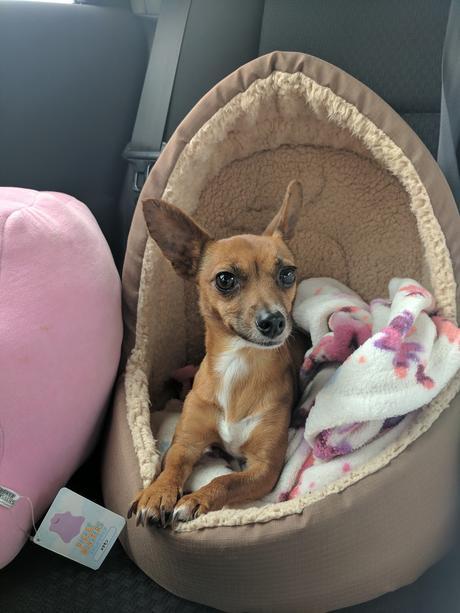 Life lately Life lately