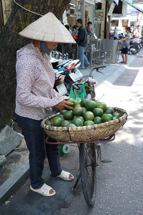 Vietnam: a week in Hanoi