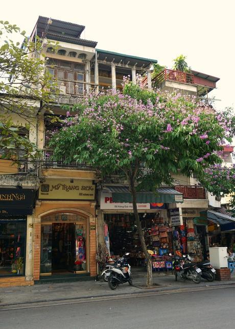 Vietnam: a week in Hanoi