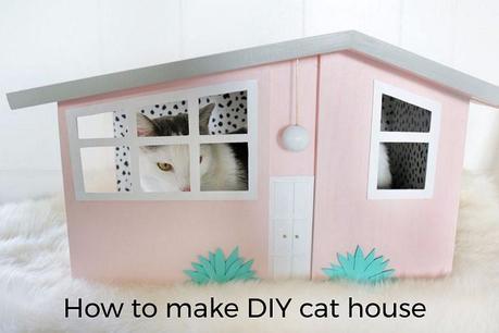 How to make DIY cat house from simple box in 10 mins