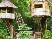 Select Right Tree House