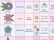 Plants That Will Give Bee-friendly Garden