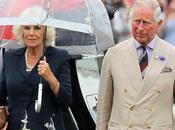 ‘Summer Diana,’ Thinks Duchess Camilla Should Queen