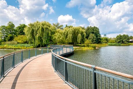 solar eclipse chicago