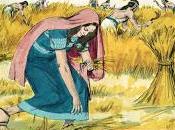 Ruth Meets Boaz Gleaning