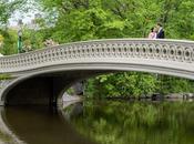 Bridge Central Park