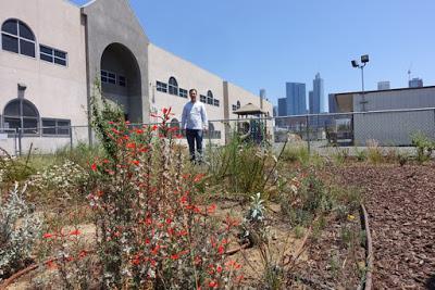 National Geographics and an Urban Native Plant Garden at Esperanza School in Los Angeles