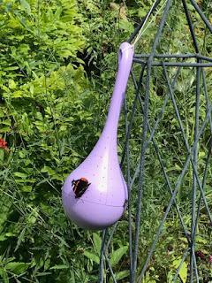 Products review:  Garden House Bird Feeder & Belightful Butterfly Feeder