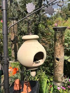 Products review:  Garden House Bird Feeder & Belightful Butterfly Feeder