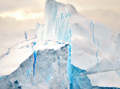 Reasons Should Join Arctic Safari