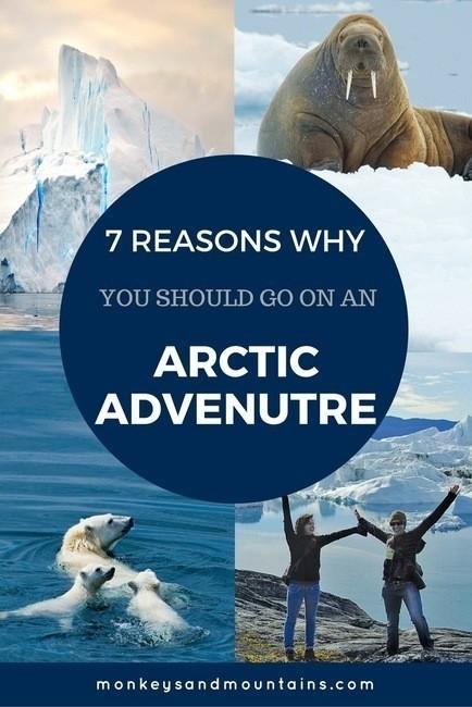 7 Reasons Why You Should Join Me for an Arctic Safari