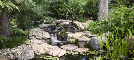 How to Build the Perfect Garden Pond