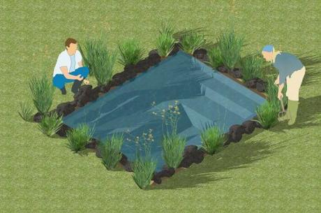 How to Build the Perfect Garden Pond
