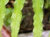 Things Pass Rainy Weekends