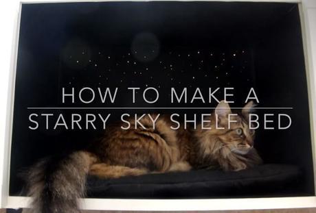 How to Make a DIY Starry Sky Shelf Cat Bed in 30 minutes