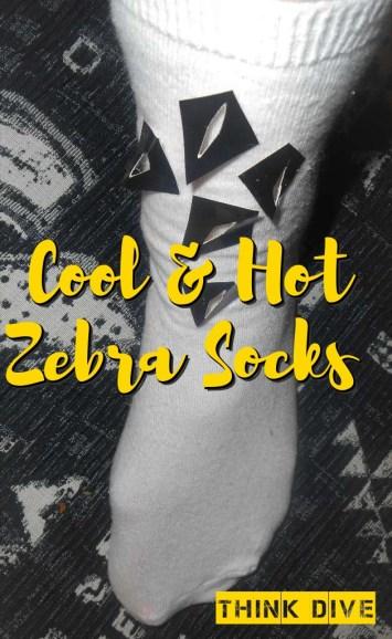The Twelve Months of Endangered Animals Songs- Cool & Hot Zebra Socks