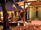 Discover Best Luxury Safari Camps Botswana!