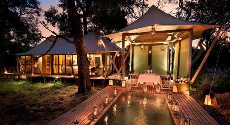 Discover the Best Luxury Safari Camps in Botswana!