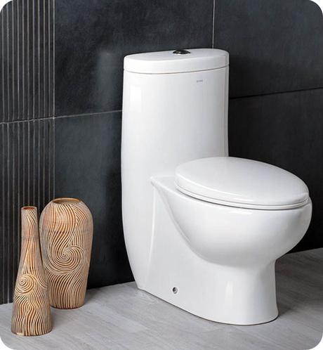 The Delphinus dual-flush toilet is an elegant and eco-friendly way to be more green in your bathroom