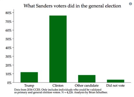 Sanders Supporters Helped Put Trump In White House