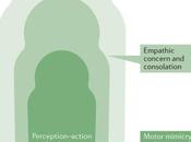 Mammalian Empathy: Neural Basis Behavioral Manifestations