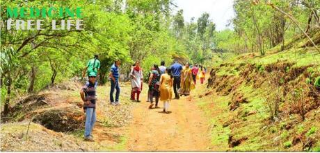 Incredible Story Of A Dr. Family, who Reforested Barren Land, Made an Eco- Village & Lives Medicine Free