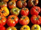 More Harvesting, Preserving