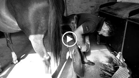 Thomas Morret Maréchal Ferrant Portraits Video par Ben Heine - Woody Horse Concept