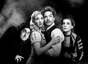 Young Frankenstein the Musical (Newcastle) Review