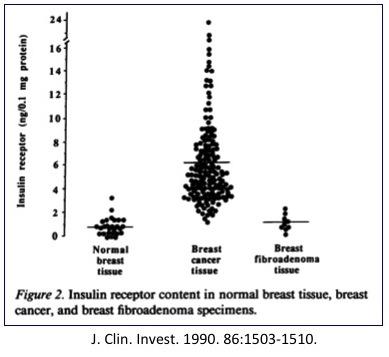 Hyperinsulinemia and Cancer