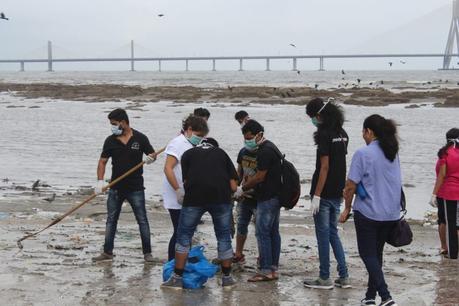 Ganeshotsav Celebration Witness A Concern From Youth In Mumbai